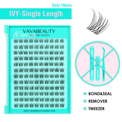 IVY Lash Clusters