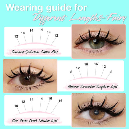 FAIRY Lash Clusters