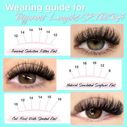 SPIDERA Lash Clusters