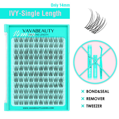 IVY Lash Clusters