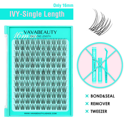 IVY Lash Clusters