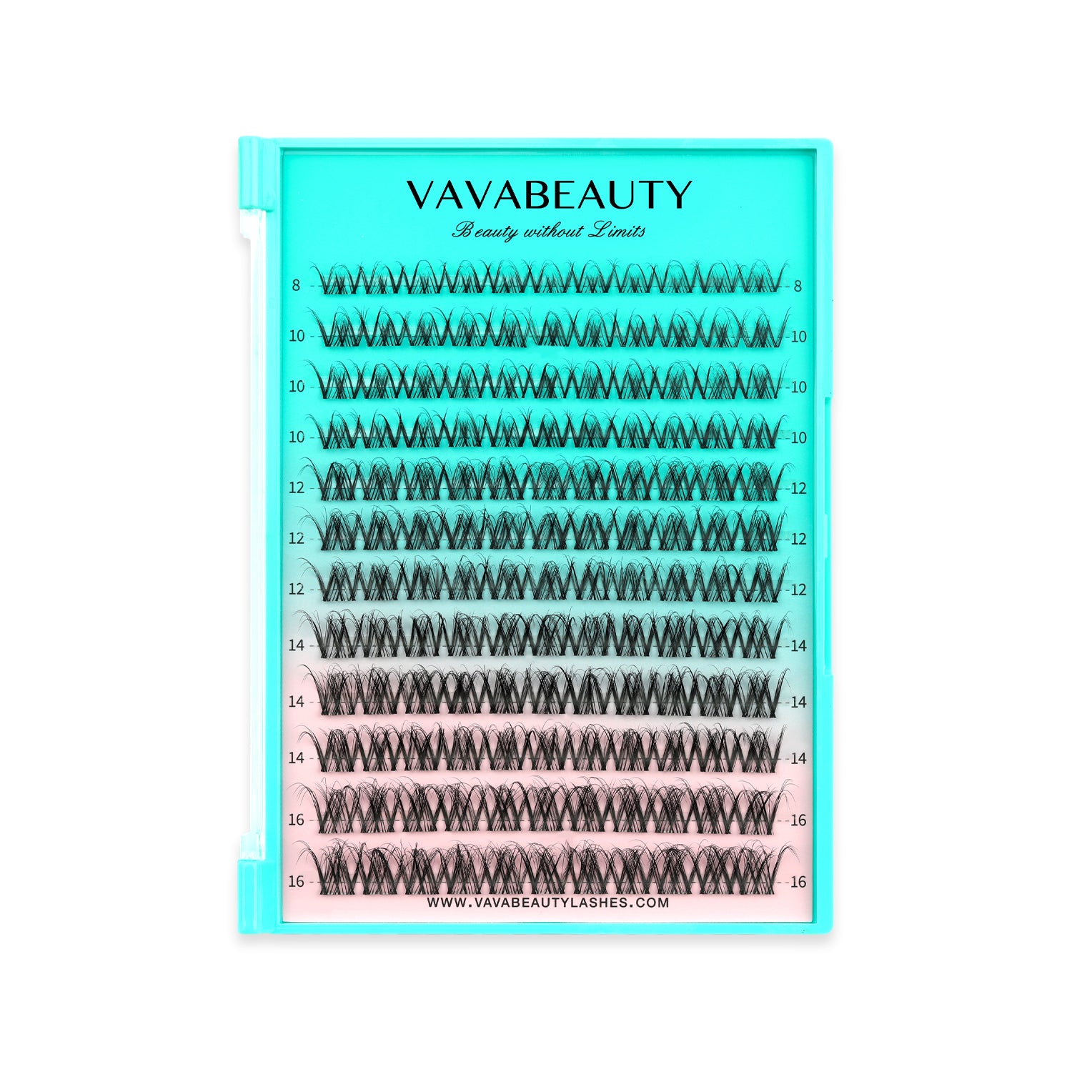 SPIDERA Lash Clusters